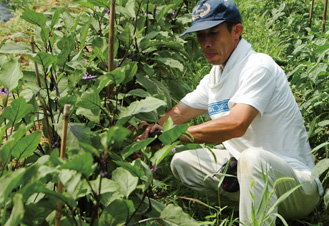 家庭菜園をはじめ農園もできます