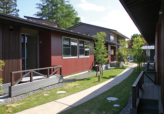 趣味やボランティアで人生を楽しむ