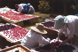 ワークシェアが人と街を支えます